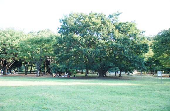 小金井公園　バーベキューエリア