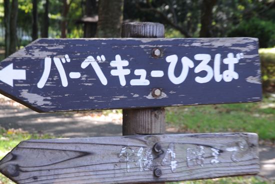 武蔵野公園　アクセス