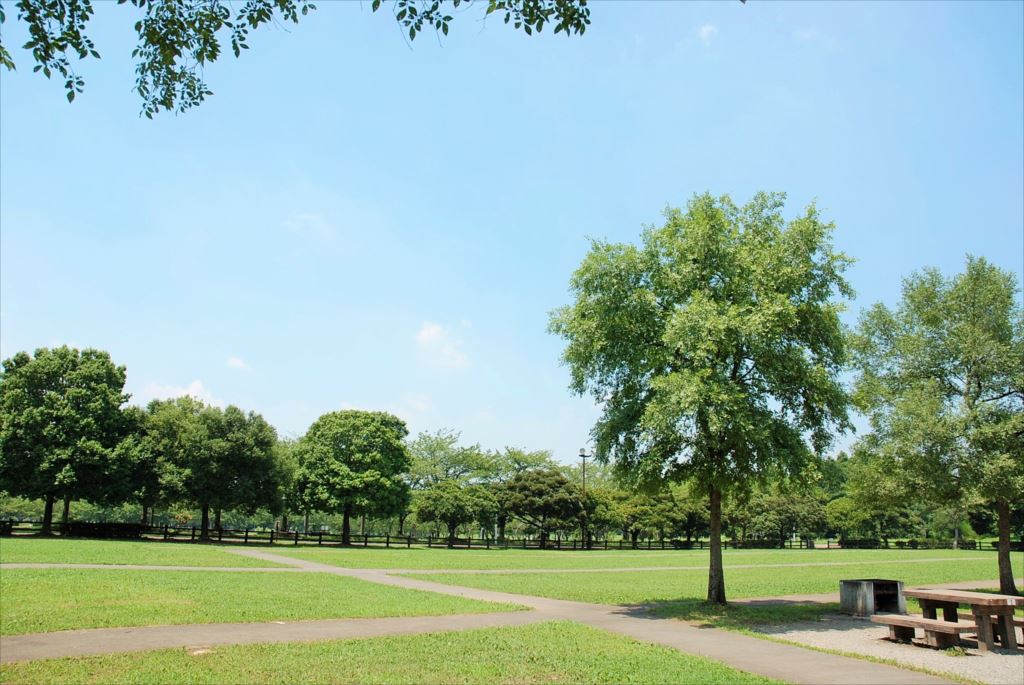 みさと公園 バーベキュー広場 バーベキューレンタル qレンタル 東京 ゴードン